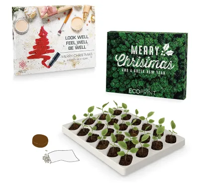 2026 New Design Eco-Friendly Growing Advent Calendar DIY Planting Kit Christmas Countdown Gift for Family