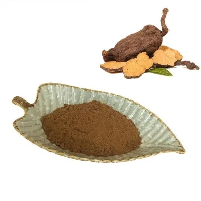 High Quality Polygonum Multiflorum Extract Delayed Aging Herbal Extract Polygonum Japonicum Powder He Shou Wu