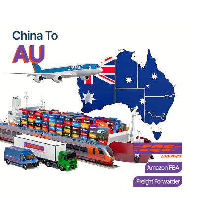 Charter Service Pioneer Logistics Shipping Agent Customized Logistics Solutions Customs Clearance Services for Air+Express