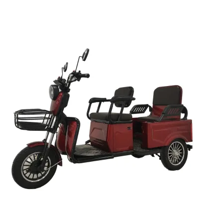 High Quality Promotion 600W 2-Passenger 3-Wheel High Carbon Steel Mobility Electric Tricycle Scooter