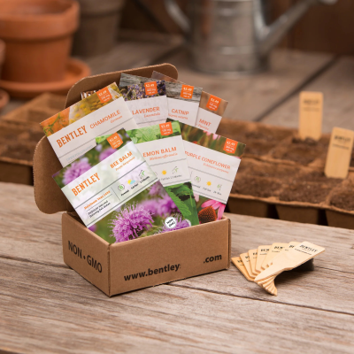 Modern Style Medicinal Herbs Packet Kit with 7 Varieties