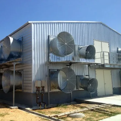 Q 235 Steel Frame Structure H Section Prefabricated Broiler Floor Raising Chicken Shed