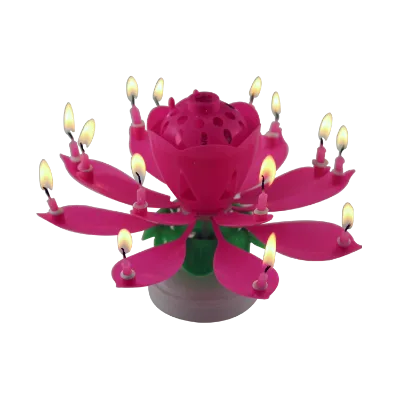 Best Seller 14-Piece Music Birthday Candles with Battery for Parties Home Decoration New Year & Diwali Celebrations