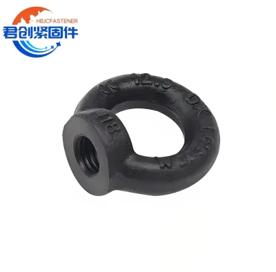 HDG Galvanized Electrophoresis Black Lifting Eye Nuts Alloy Material Steel Electro Galvanized Surface Finish