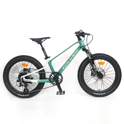 Wholesale 20" Kids Bike Magnesium Alloy Frame Children Bicycle Mountain Bike(No Retail)