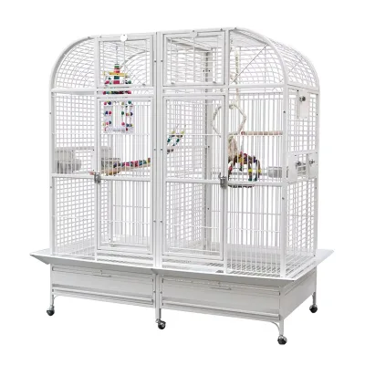 Big Size Breeding Birds Cage Villa Decorative Viewing Large Parrot Cage Arc Shape Heavy Duty Outdoor Pet Birds House