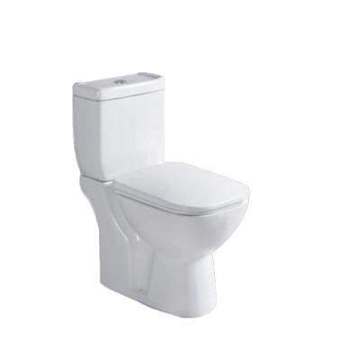 washdown two piece special design toilet