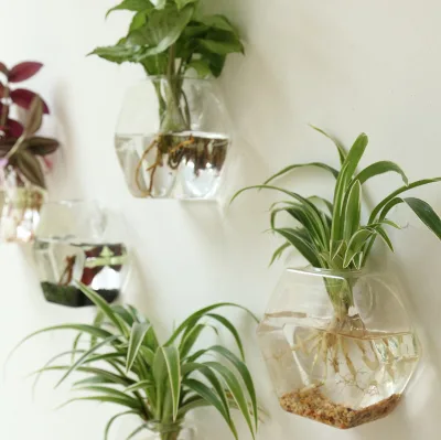 Hexagonal Glass Vase Creative Simple and Modern Wall-mounted Vase Fashionable Home Hydroponic Flower Arrangement Container