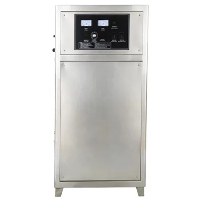 Industrial Stainless Steel 80g/h Ozone Generator for Cold Room Sterilization & Disinfection
