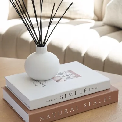 Artistic Hollow Dummy Book Secret Stash Book Box Neutral Tone Tabletop Styling Prop for Interior