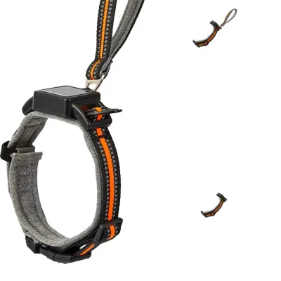 USMILEPET Wholesale Polyester All-in-One Luxury Cat Collar with Built-in Retractable Leash Adjustable for Outdoor