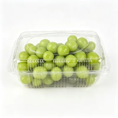 Disposable PET Fruit Container Crystal Clear Anti-Fog Plastic Box With Snap Lid for Mango Lemon Orange Packing