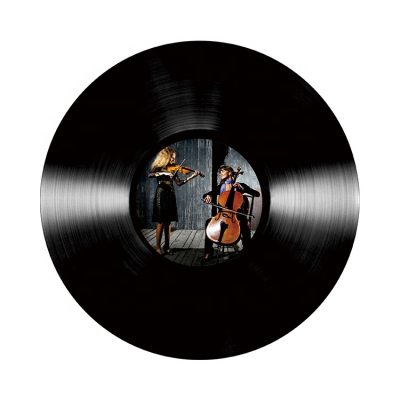 Customization Products in Outer Poly Bag Sleeves 12" LP Pressing Music Disc Black Vinyl Record