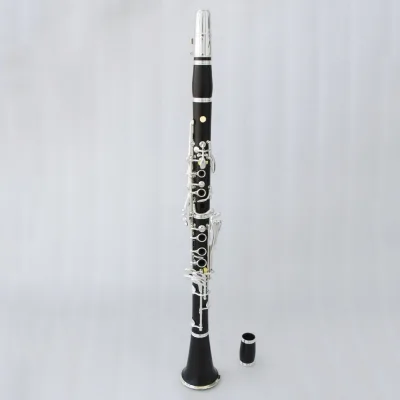 Grenadilla Wood Body Cheap Price Musical Instrument with Clarinete Profesional Bb Tone Silver Plated 17 Holes Clarinet OEM