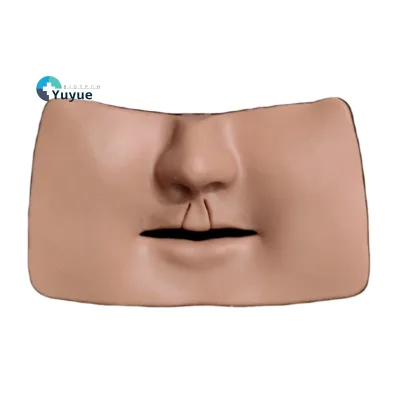 Advanced Bilateral Cleft Lip Suturing Simulation Model for Medical Training PVC Material