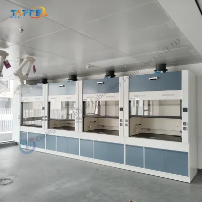 Chemical standards Fume Hood  with sink