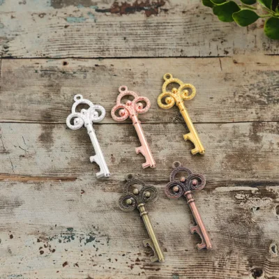 Vintage Style Butterfly Key Bottle Opener Metal Eco-Friendly Complete Organza Bag Thank You Tag Jute Rope Perfect Wedding Favor