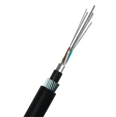 Underground Outdoor Fiber Optic Cable 12-288 Core PE Jacket Steel Wires Strength Member Anti-Rodent Armored Telecom Use