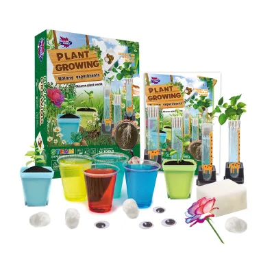 2023 Hot Sale Kids Toy Best Gift Sending STEM Educational Science Kit Grow Your Own Plant Guiding Kids Learning Botany