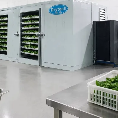 Excellent Performance Vegetable Dehydrator Onion Drying Machine
