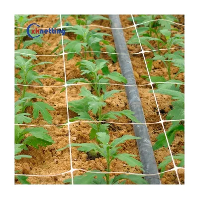 Cheap Plant Support Net Cucumber Trellis Netting & Plant Support Plastic Cucumber Bitter Plant Support Net