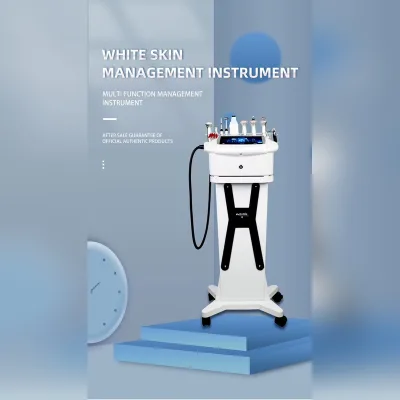 Multi Functional Small Bubble Introduction Firming Facial Cleaning and Care All-in-one Machine