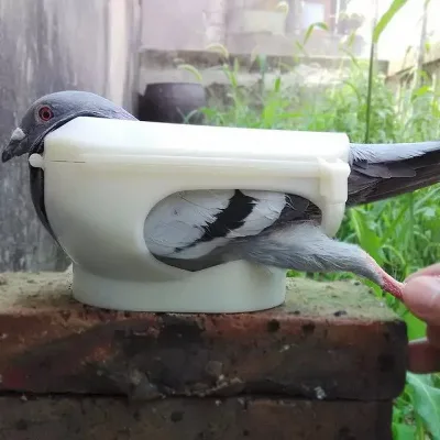 Eco-friendly Plastic Pigeon Supplies Pet Bird Medicine Feeding Vaccine Holder Observation Birdling Stand for Baby Birds Indoor