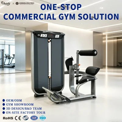 Gym Supporting Solutions Full Set Equipment Supplier Commercial Grade Training Machine for Corporate Gym Equipment Success