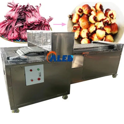 Fresh Olive Pitting Machine with Rosell Kernel Pitter Fruit Pitting Machine Featuring a Motor as Core Component