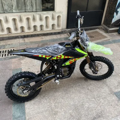 2025 New Hyper Bee Off Road Moto Youth Motorcycle Electric Dirt Bike Retro Electric Bike Ebike Kid Fast Electric Bicycle
