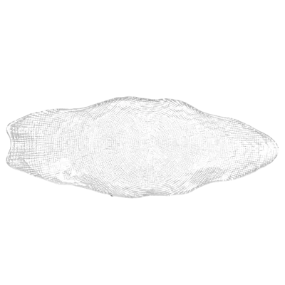 42cm/16.5 Inch Glass Platter, Irregular - Shaped Serving Tray, Unique Decorative Plate for Appetizers, Fruits, and Home Display