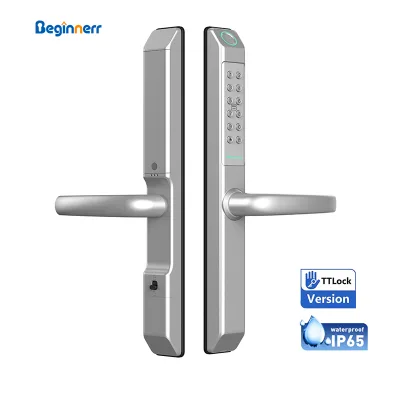 Beginnerr Exterior Black Grey Silver Color Keypad Ttlock Tuya Fingerprint Code Card Private Button Smart Broken Bridge Door Lock