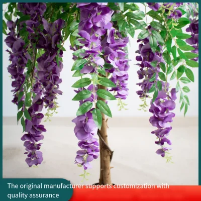 Decorative Potted Large Floor Decorations, Plants in the Living Room, Indoor Wisteria