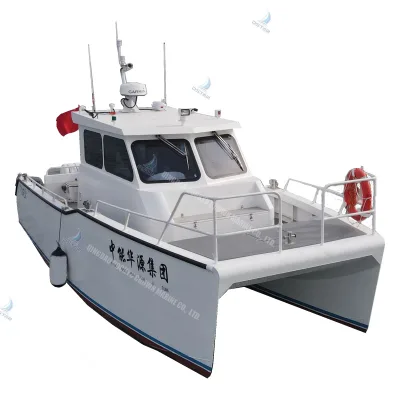 9.8m Custom Aluminum Catamaran Boat with Dual Hull Design