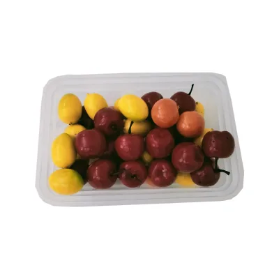 Good Toughness Plastic Disposal Food Tray Fresh-keeping Rectangle White Plastic Meat Vegetable and Fruit Tray
