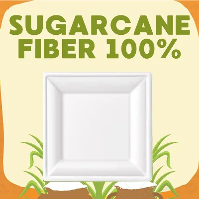 Hot Sale Bagasse Disposable Party Luxury Square Paper Plates-Multi-functional Waterproof Microwave Safe