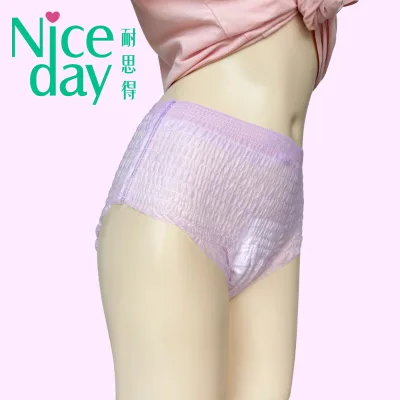 Niceday High Waist Disposable Period Panties for Women Teen Purple Overnight Menstrual Panties Panties