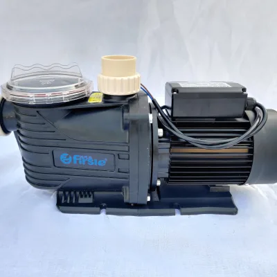 Hot Selling High-Pressure Electric Circulation Pump New Arrival Water Heater from China for Pool Use