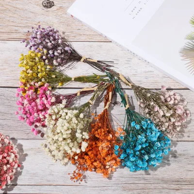 1 Bunch Mini Natural Dried Flowers Babysbreath Fresh Preserved Flowers Bouquet Decorative Photography Photo Backdrop Decor
