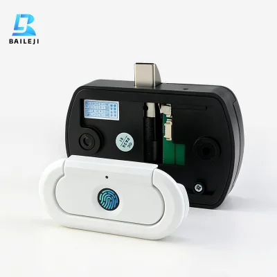 Biometric Fingerprint Drawer Lock with Handle Smart Keyless Cabinet Lock for Wardrobe Furniture