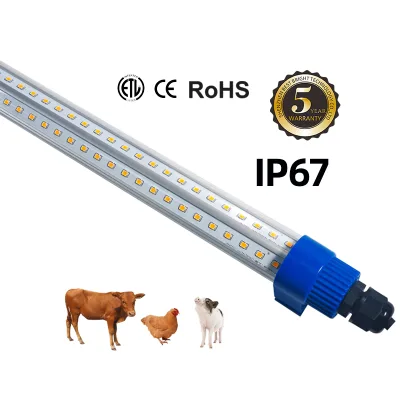 LED 12VDC Coop Lamp IP67 Poultry Light Waterproof Led Chicken Lamp Dimmable Light T10 18W 24W Ce White 80 SMD2835 LED Chip 2600