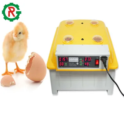 Poultry Chicken Egg Incubator Tanzania Incubator Machine