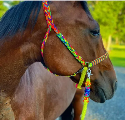 Wholesale Cotton Horse Halter Braided Reins Headcollar Cattle Collar Fancy rainbow Bridle Soft Nylon Halter for Horse