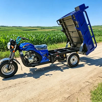 Gasoline Cargo Tricycle With Fuel Consumption Below 2.8L Per 100km Zongshen or Loncin Engine for Farm Material Transport