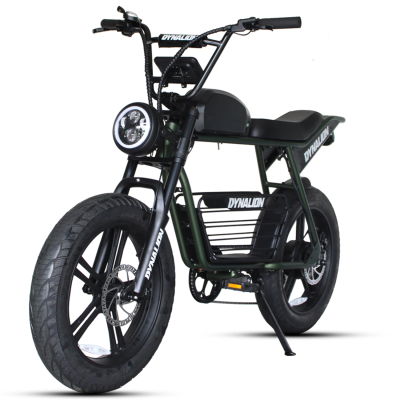 Electric Bike Other 2 Seater Seat Electric Bike
