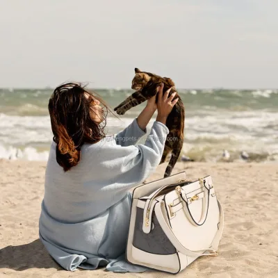 Portable Multi-Functional Pet Carrying Shoulder Bag
