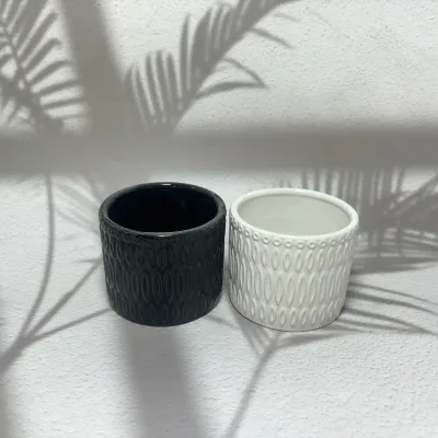 Creative Design Art Deco Modern European Black White Ceramic Succulent Planter Flower Pots for Indoor Use