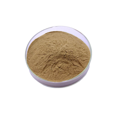 High Quality Green Coffee Bean Extract 50% Chlorogenic Acid