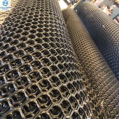 Direct Manufacturer Eco-friendly 3D Vegetation Geonet for Landscaping Protection Net & Outdoor Construction Sites