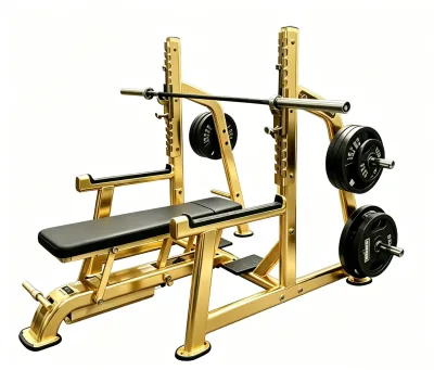 Multi-Function Station Gas Spring Assisted Auto Recovery Bench Press 1000LBS Commercial Grade